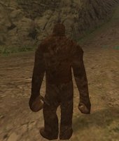 Dun Bigfoot