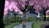 Sakura Blossom Anywhere