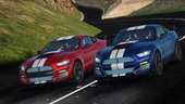 2019 Ford Mustang Shelby GT500