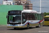 Nuovobus Menghi VW 18-280EOT - Linea 228