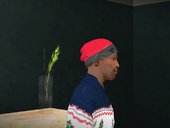 Winter Skully Hat for CJ