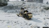Skidoo800R