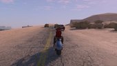 Real Vision v1.1