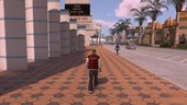 Real Vision v1.1