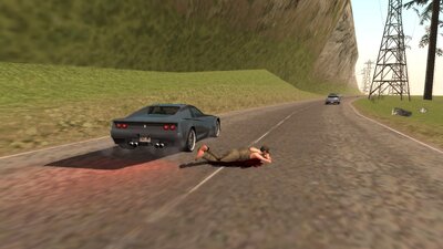 Car Rollout Damage