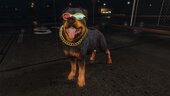 COD Warzone Rottweiler