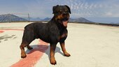 COD Warzone Rottweiler