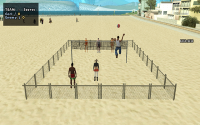 BEACH VOLLEYBALL