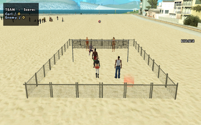 BEACH VOLLEYBALL