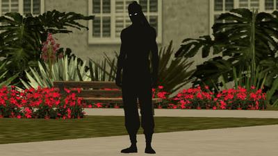 [Shadow Fight 2] Shadow