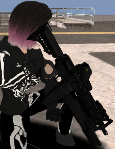 M4 HOLO STERKEY