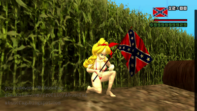 Confederate Flag American Civil War