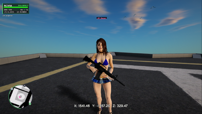Companion Girl - Novia compañera